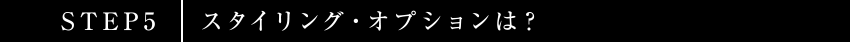 STEP5 スタイリング・オプションは？